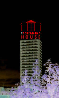 The Screaming House